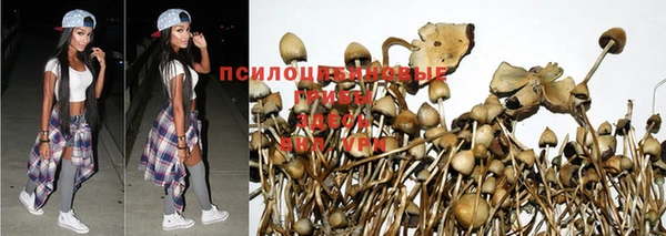 альфа пвп VHQ Арсеньев