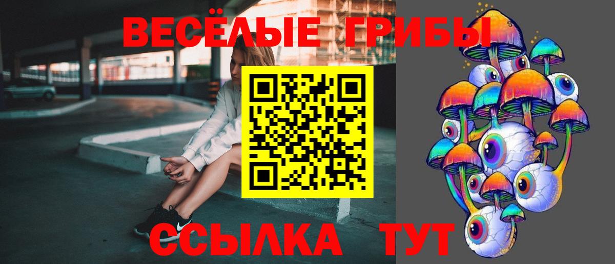 Петропавловск-Камчатский  Псилоцибиновые грибы Psilocybe  Вход с VPN 